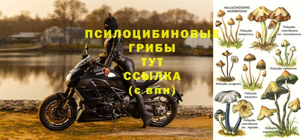 СК Балабаново